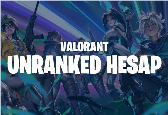 ⭐%100 TR⭐MAİLLİ RANKED READY +20 LEVEL