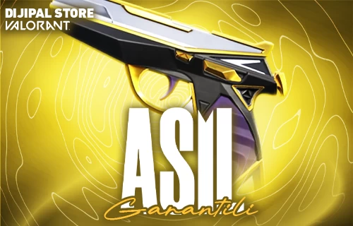 Valorant Asil Garantili Hesap